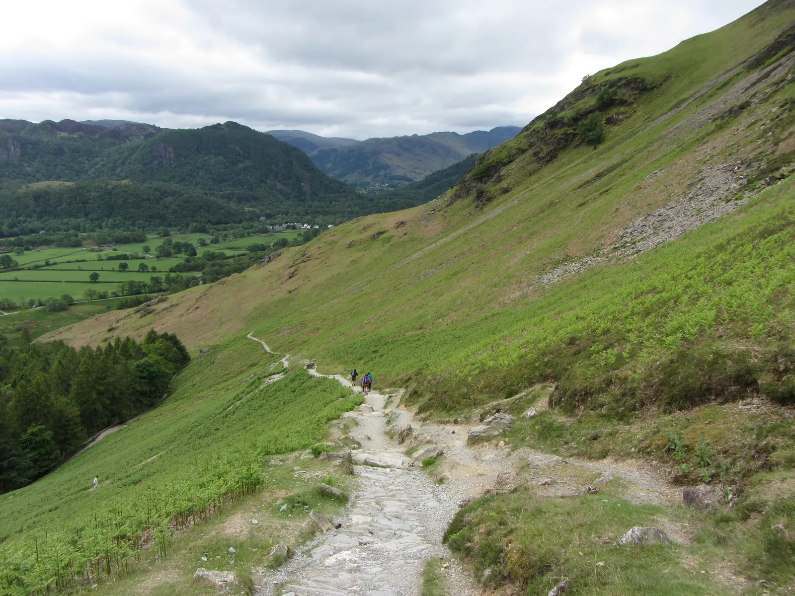 A pitched stone path slanting down the bracken slope from Hause Gate towards Borrowdale