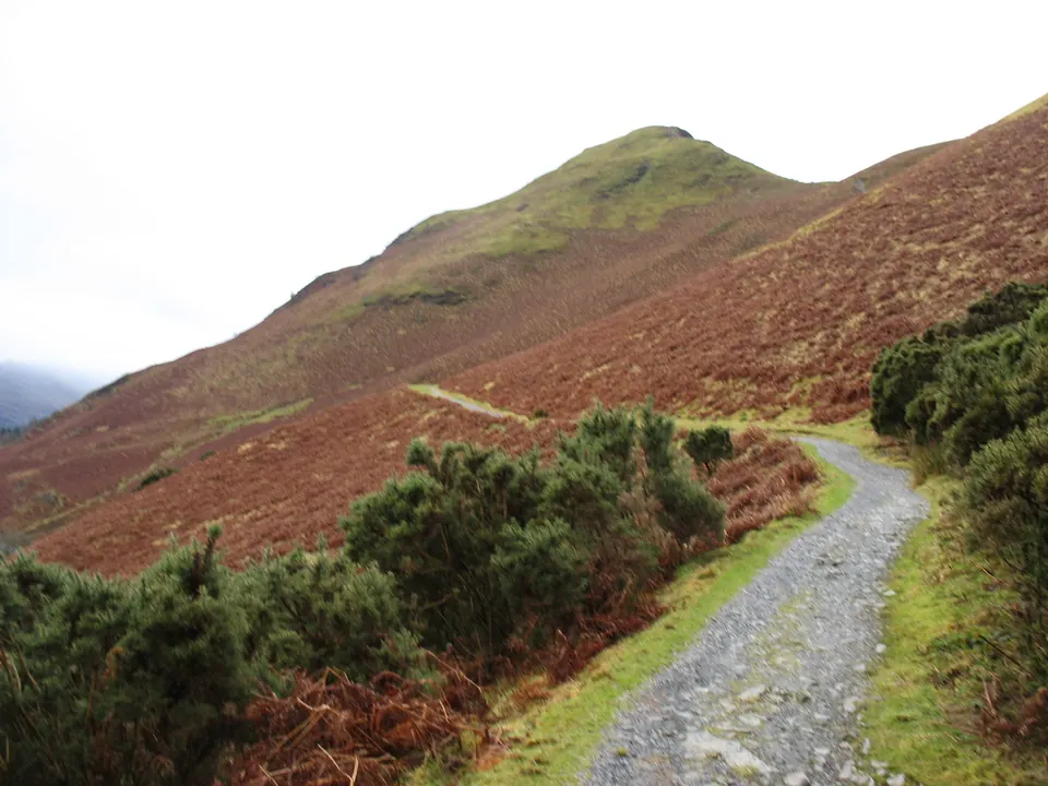 A level gravel path running along the bracken slope below Catbells